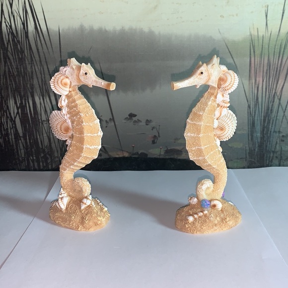 Beach Decor - Picture 2 of 2